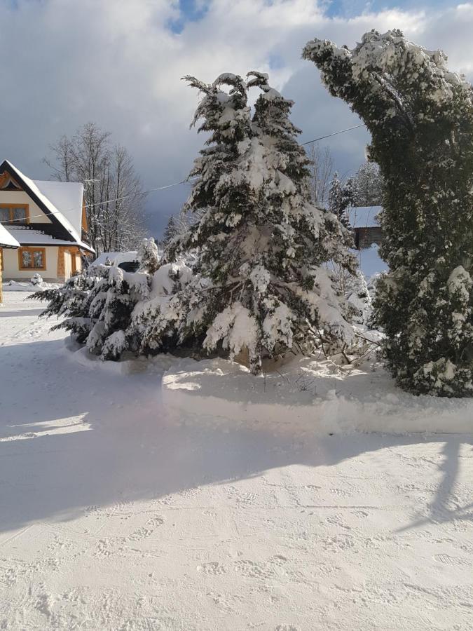 Tatrzanskie Domki Poronin Buitenkant foto